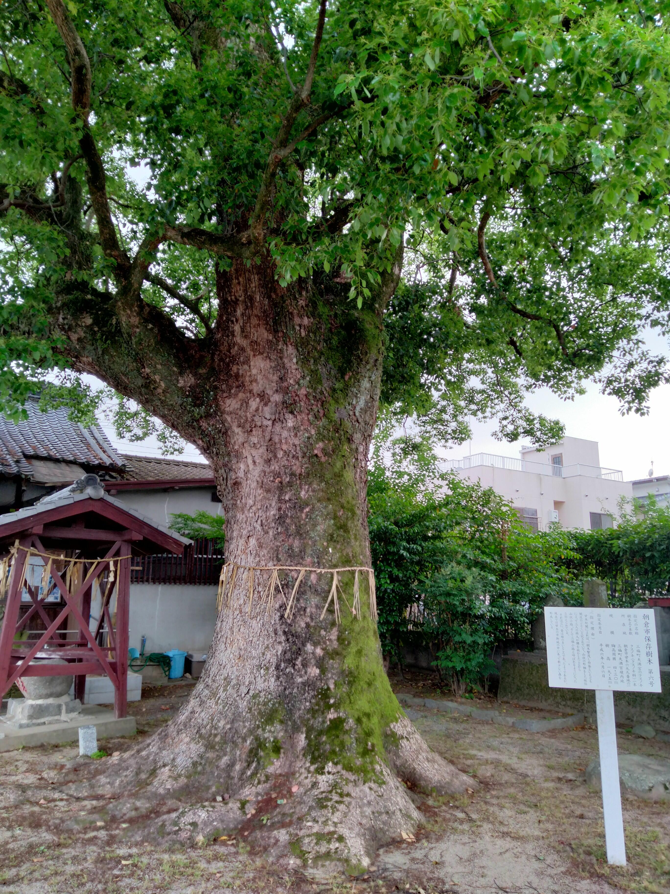 天満神社 - 朝倉市甘木/神社 | Yahoo!マップ