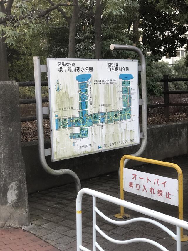 横 安い 十 間 川 カメラ