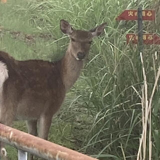 高野山の写真22