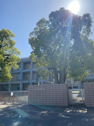 新田青雲中等教育学校のクチコミ写真1