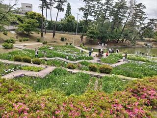 岡崎市東公園のクチコミ写真2
