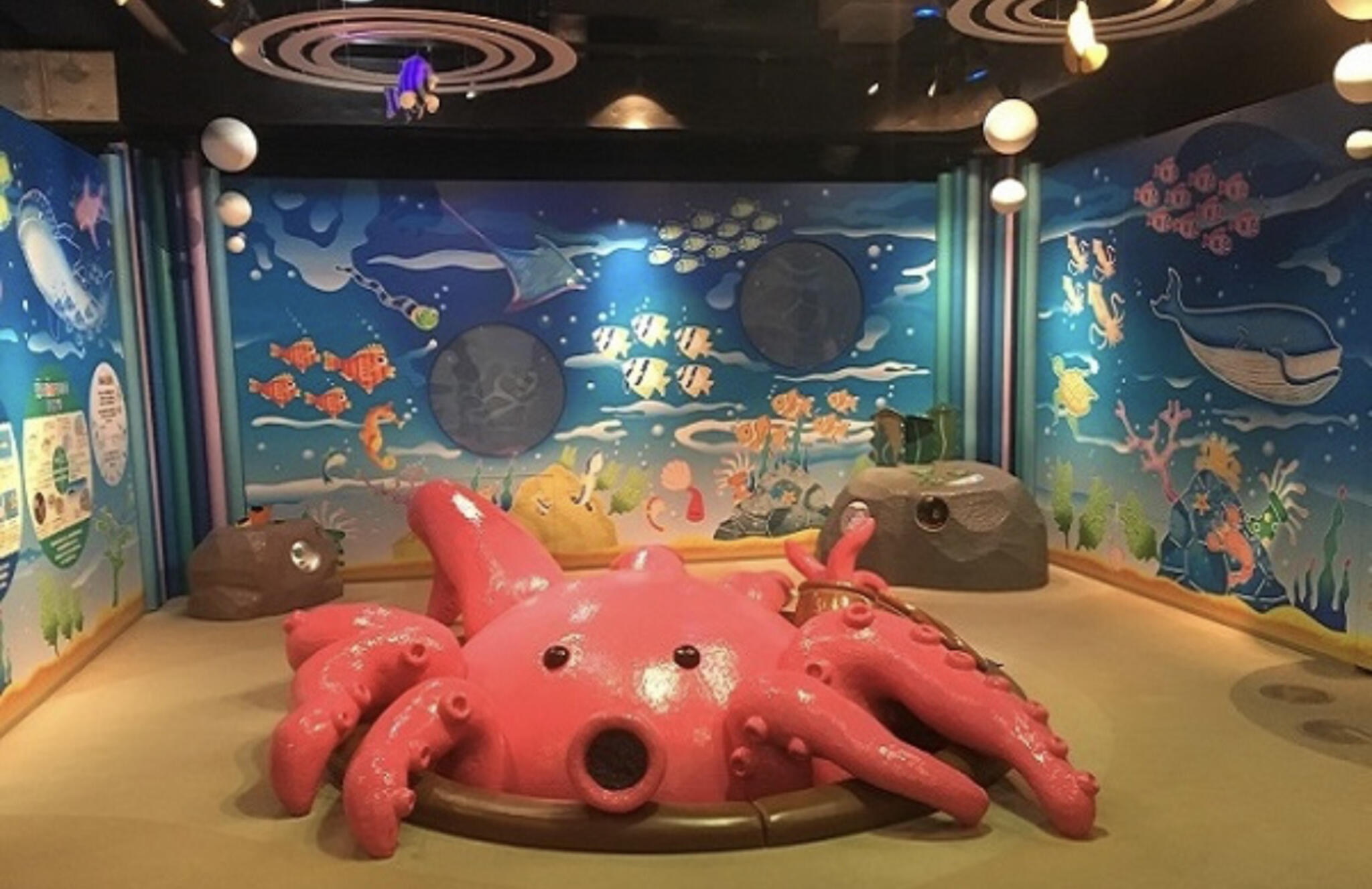 加古川海洋文化センターの代表写真7