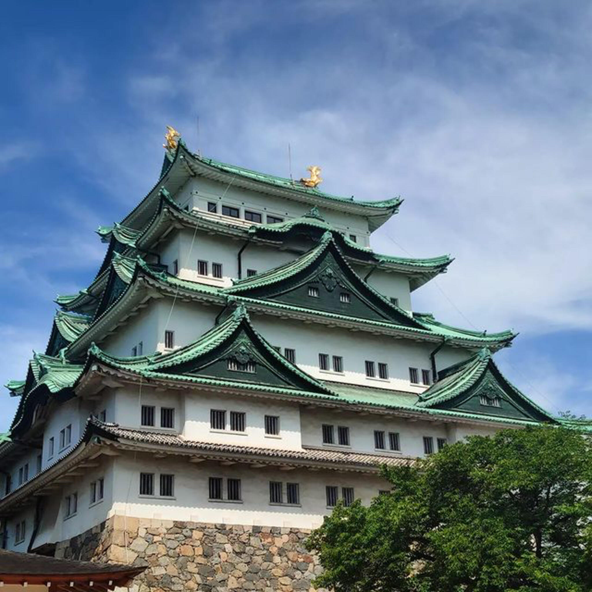 名古屋城の代表写真1