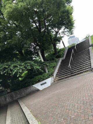 扇町公園のクチコミ写真1