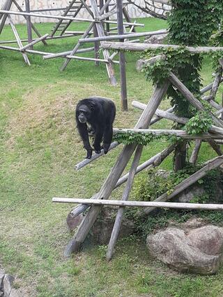 神戸市立王子動物園のクチコミ写真1