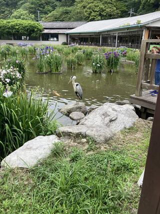 太宰府天満宮のクチコミ写真1