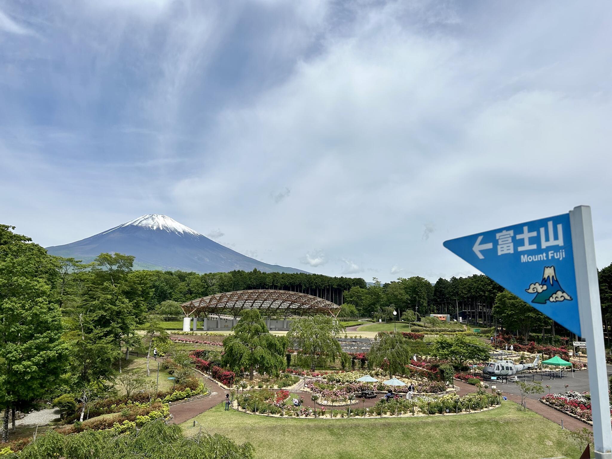 富士山樹空の森の代表写真10