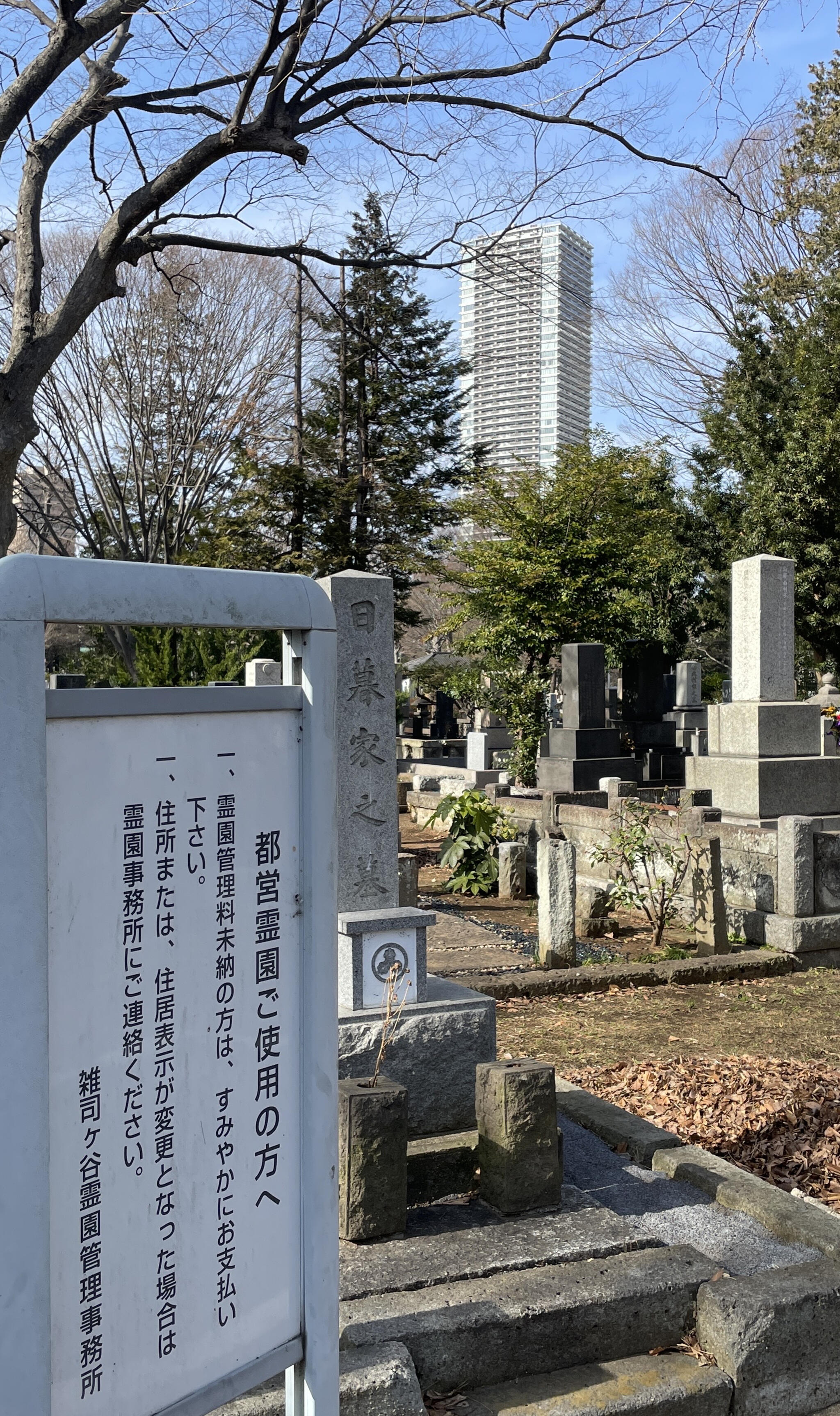 雑司ケ谷霊園の代表写真5