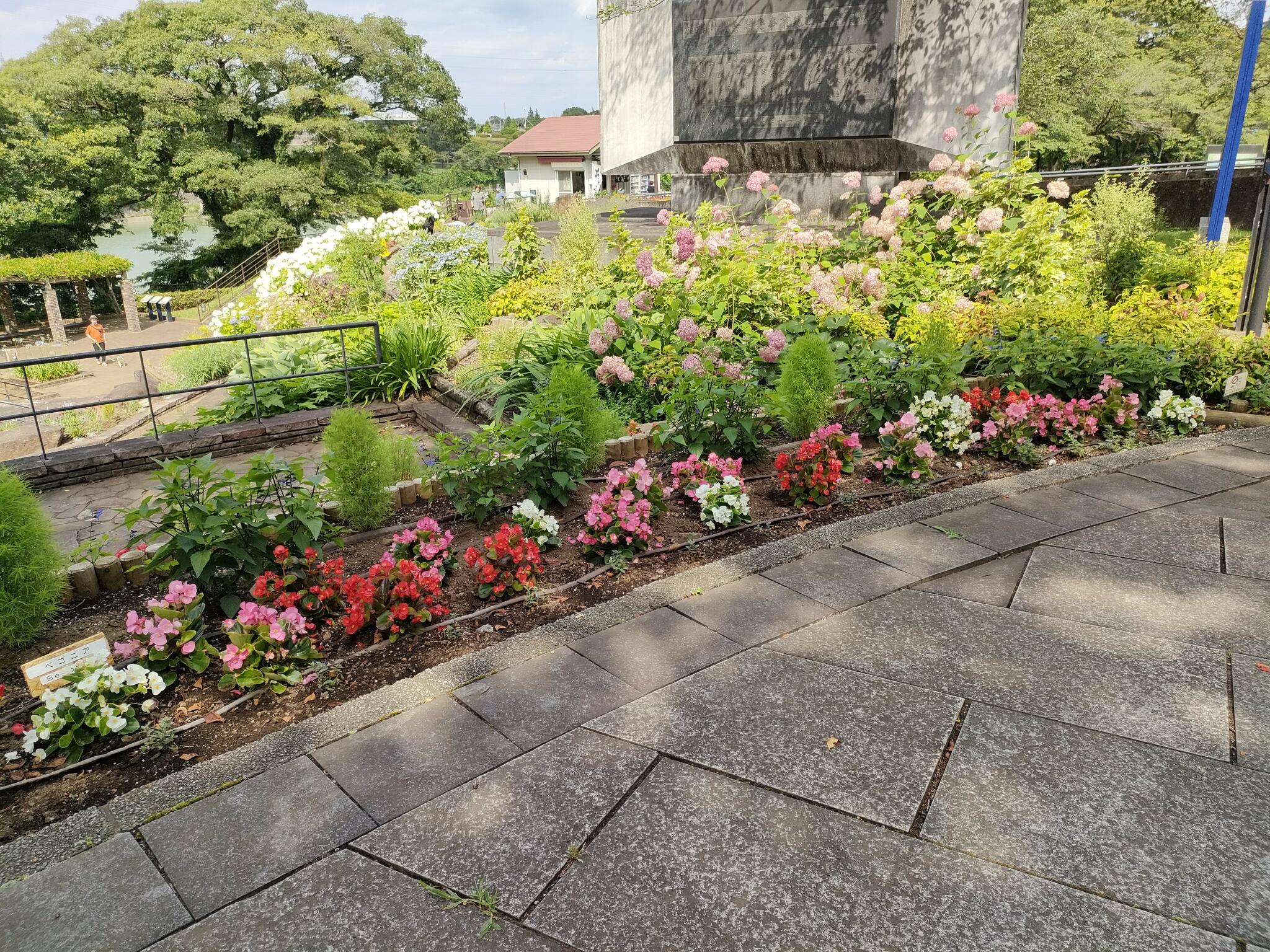 津久井湖城山公園(花の苑地第1・第2駐車場)の代表写真4