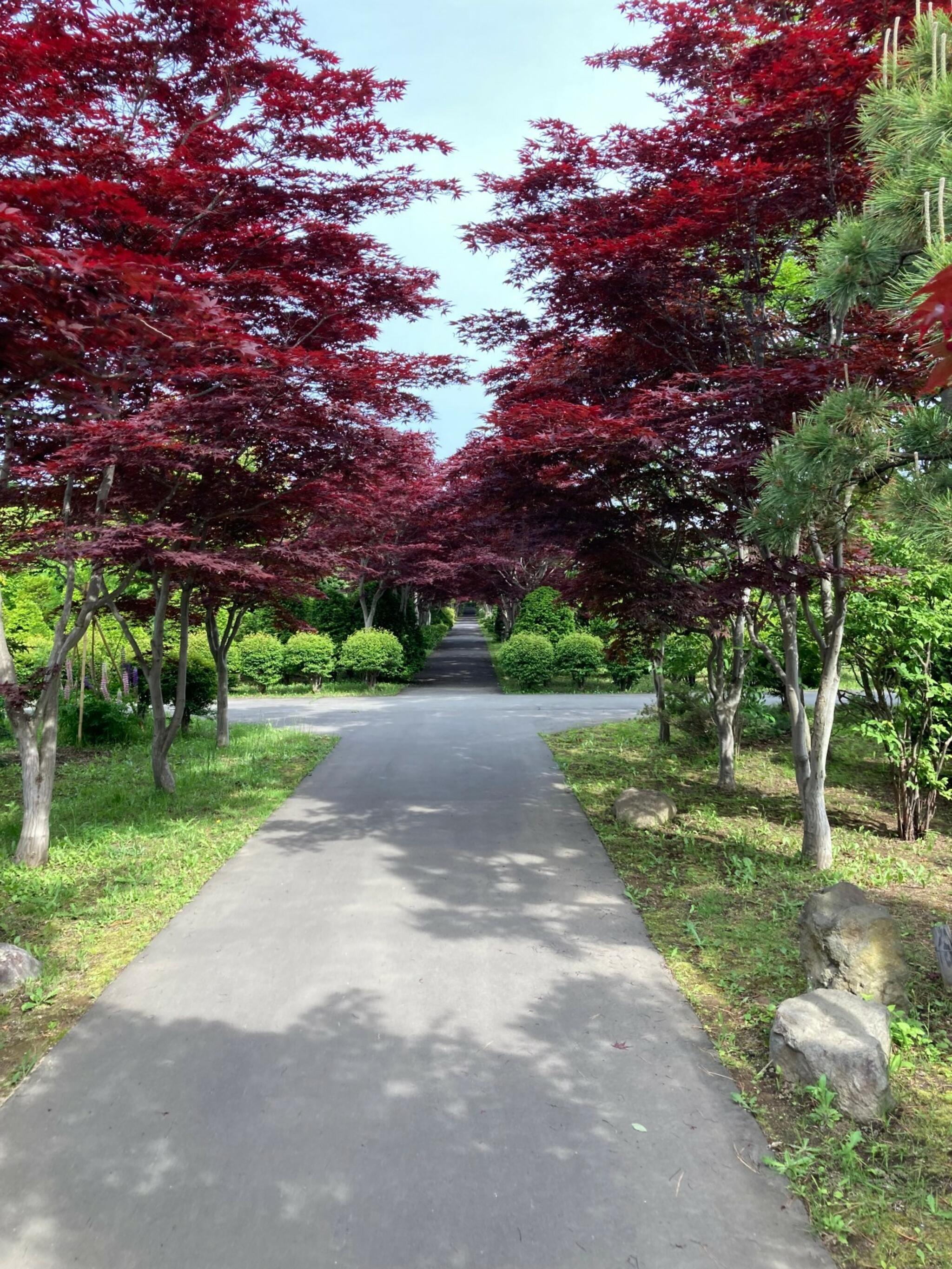 札幌市緑化植物園平岡樹芸センターの代表写真7