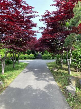 札幌市緑化植物園平岡樹芸センターのクチコミ写真1