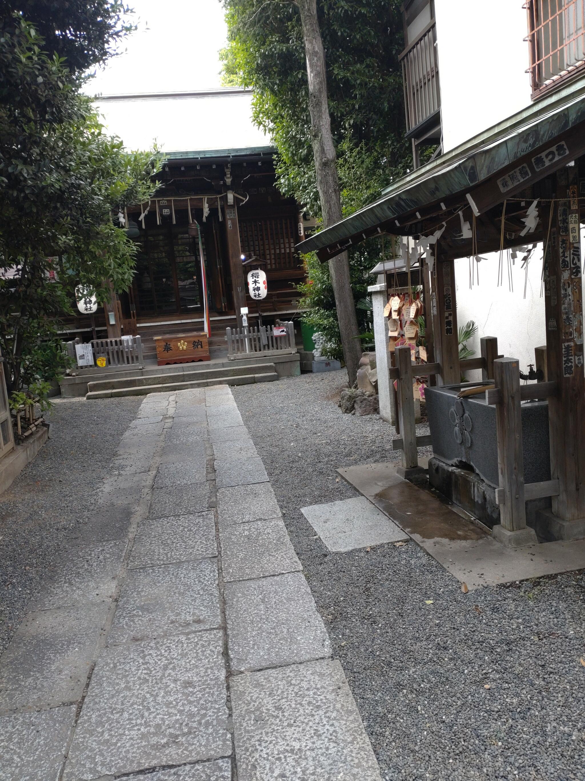 桜木神社の代表写真2