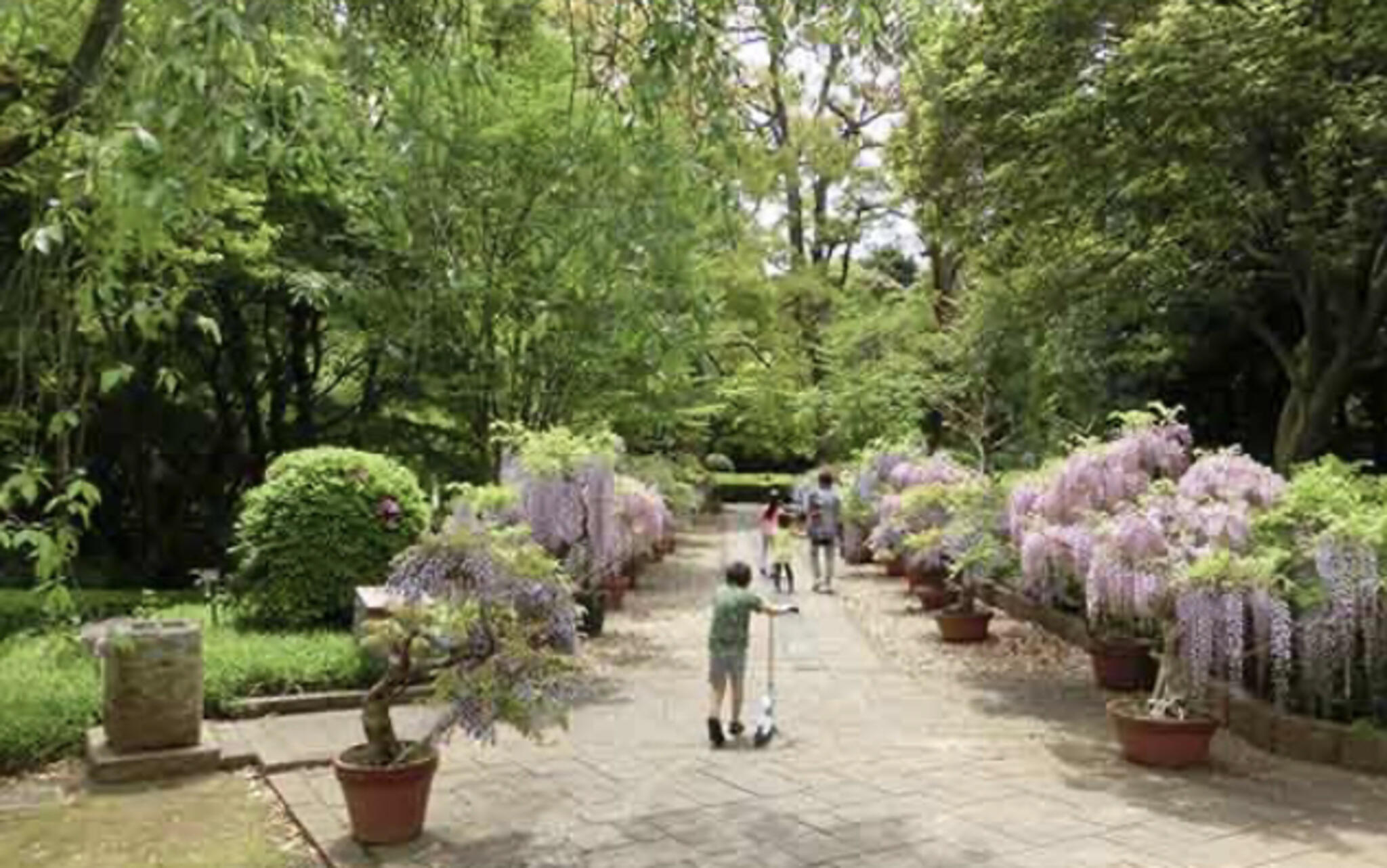 戸定が丘歴史公園の代表写真6