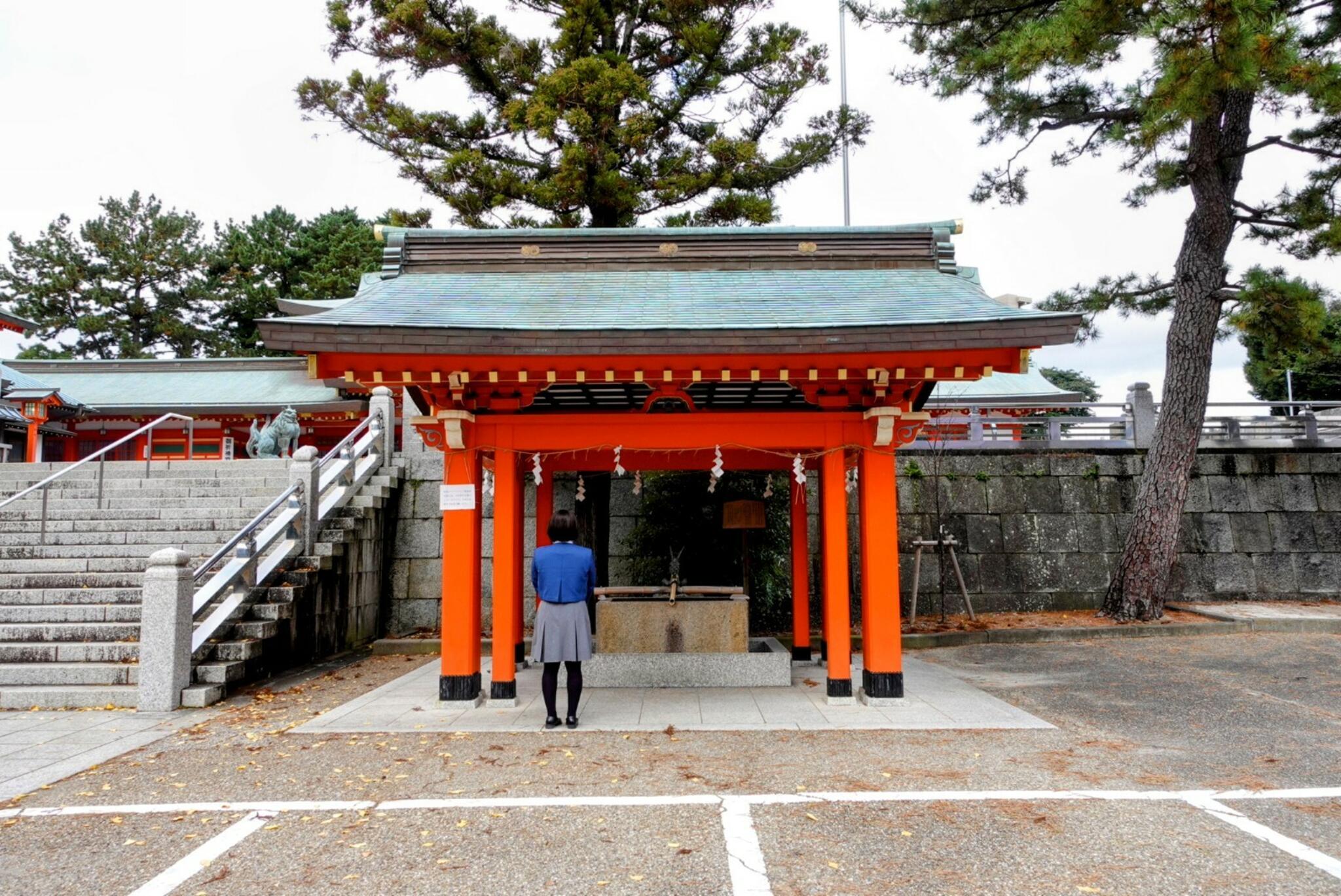 五社神社 諏訪神社の代表写真8