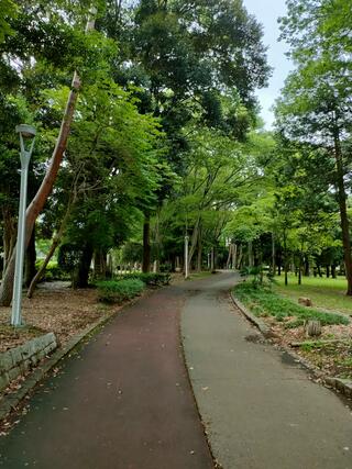 赤塚公園のクチコミ写真8