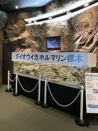 島根県立しまね海洋館 アクアスのクチコミ写真1
