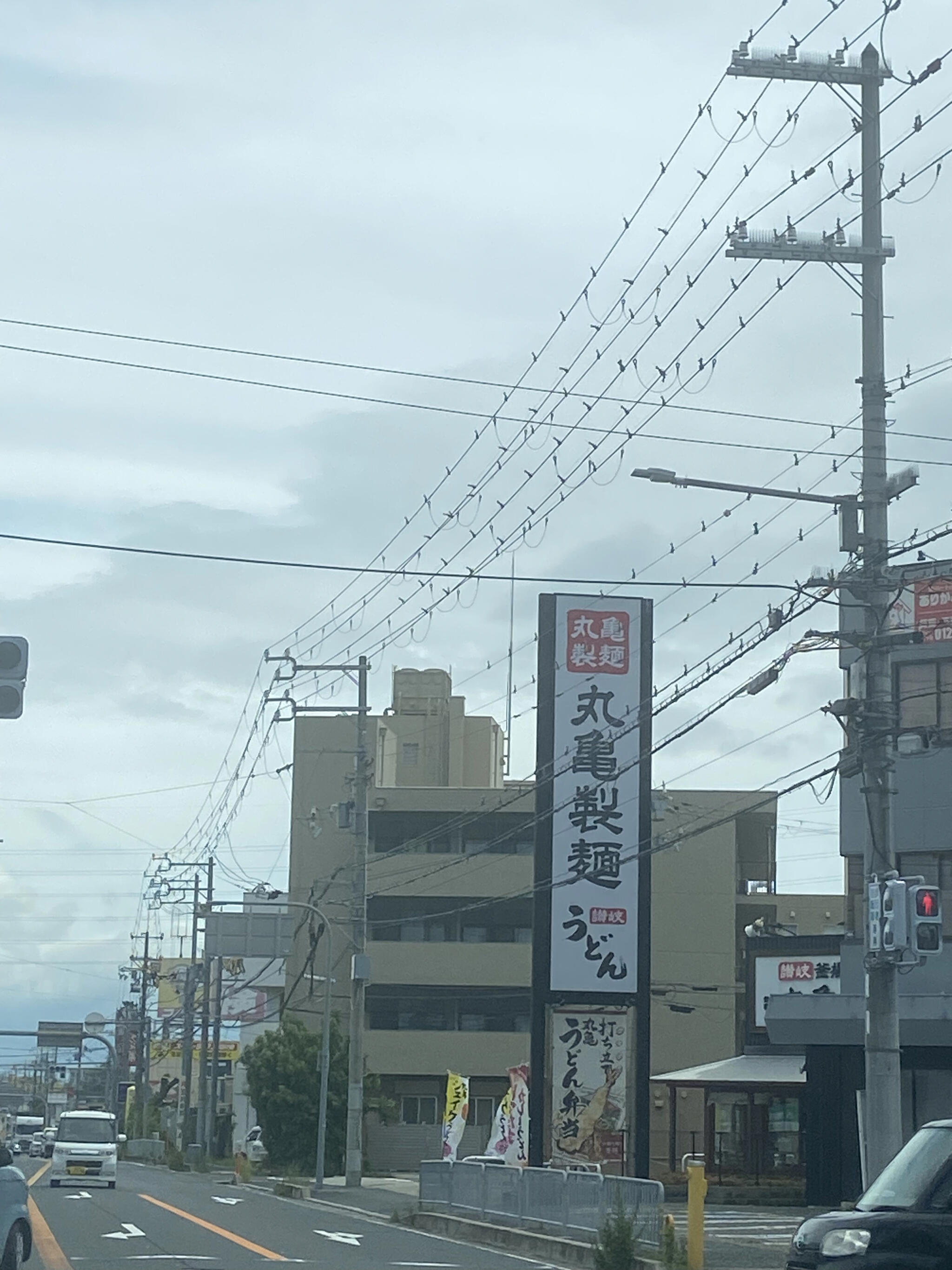 丸亀製麺 阪南の代表写真2