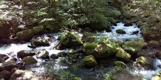 奥入瀬渓流のクチコミ写真1