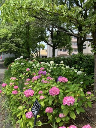 農業文化園・戸田川緑地のクチコミ写真8