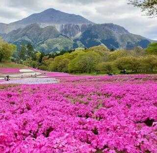 羊山公園のクチコミ写真1