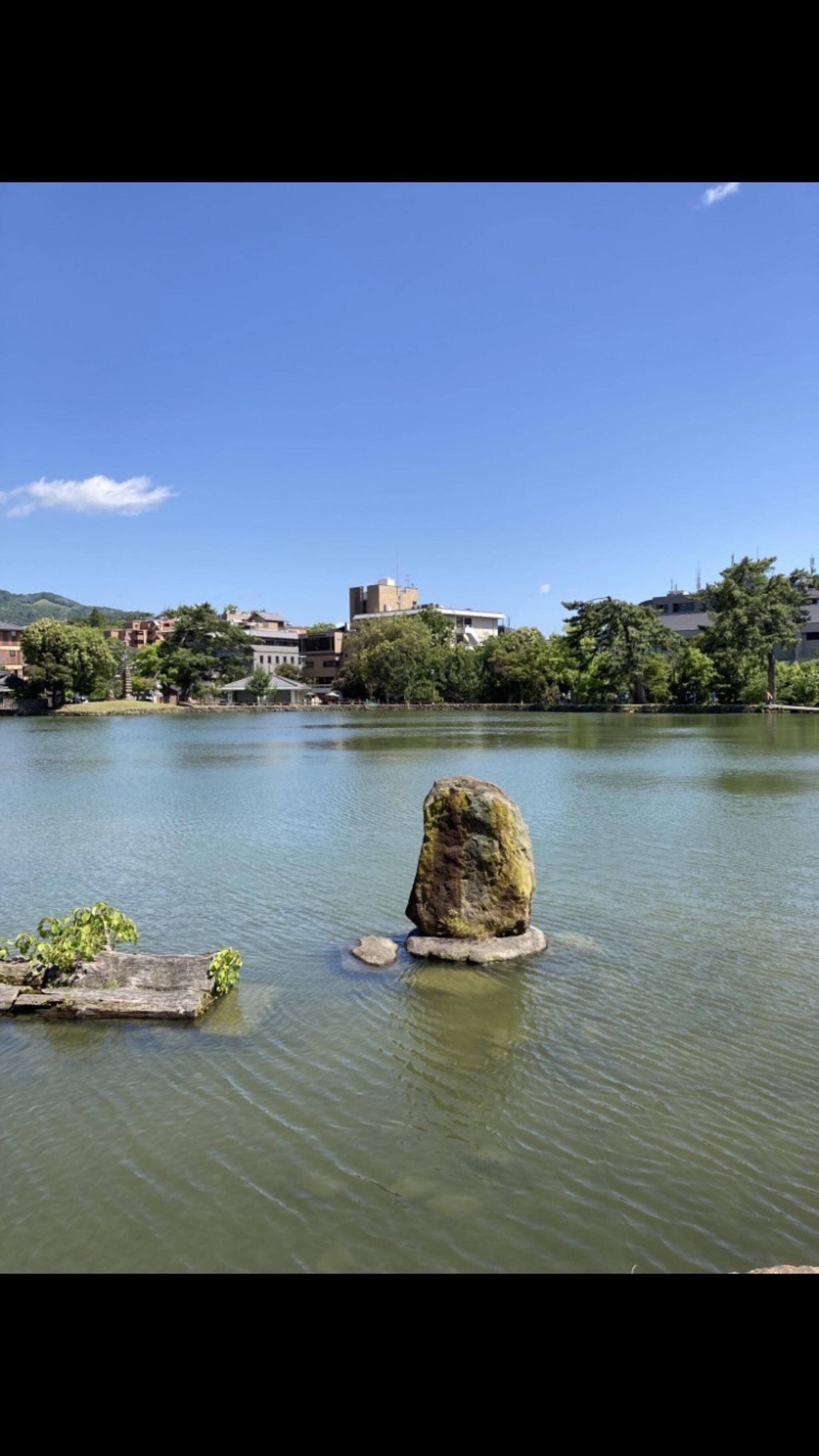 猿沢池 - 奈良市登大路町/河川・湖沼・海 | Yahoo!マップ
