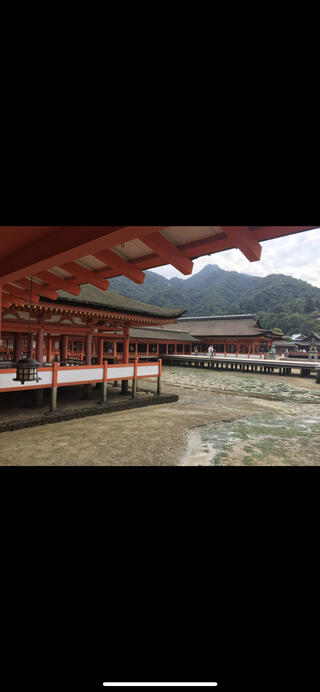 嚴島神社のクチコミ写真1