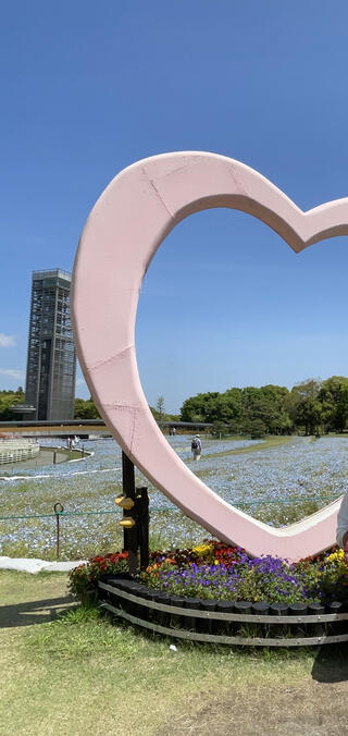 浜名湖ガーデンパークのクチコミ写真1