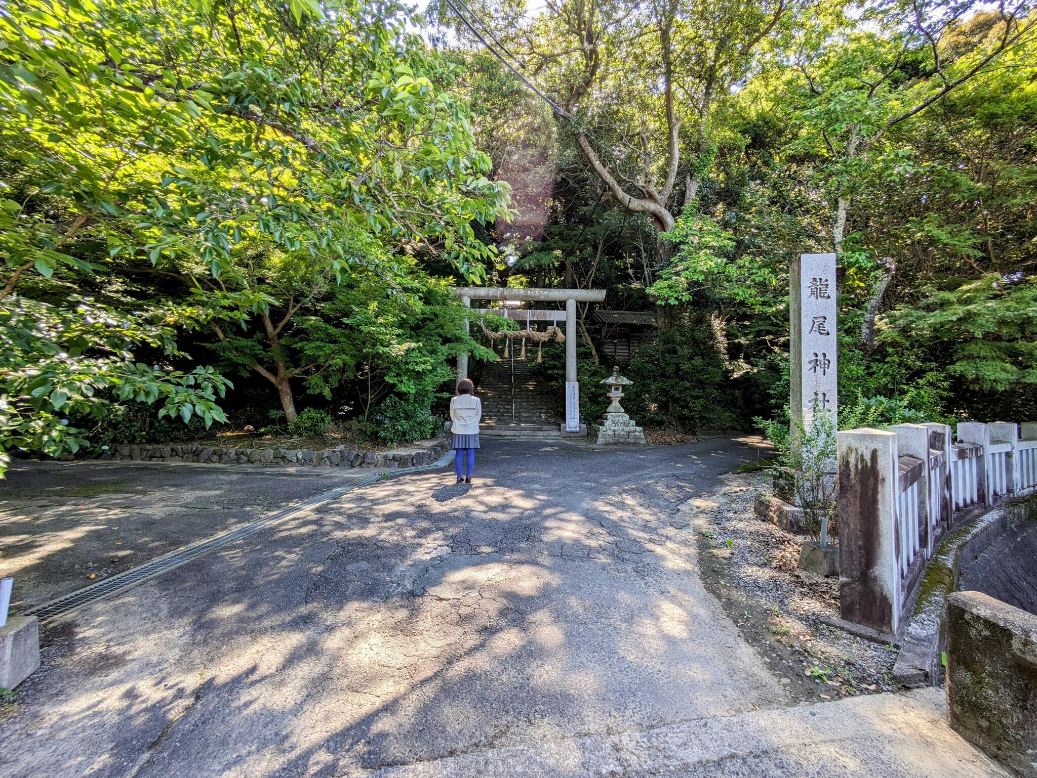 龍尾神社の代表写真7