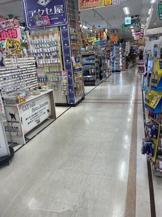 ドン・キホーテ 豊田店のクチコミ写真1