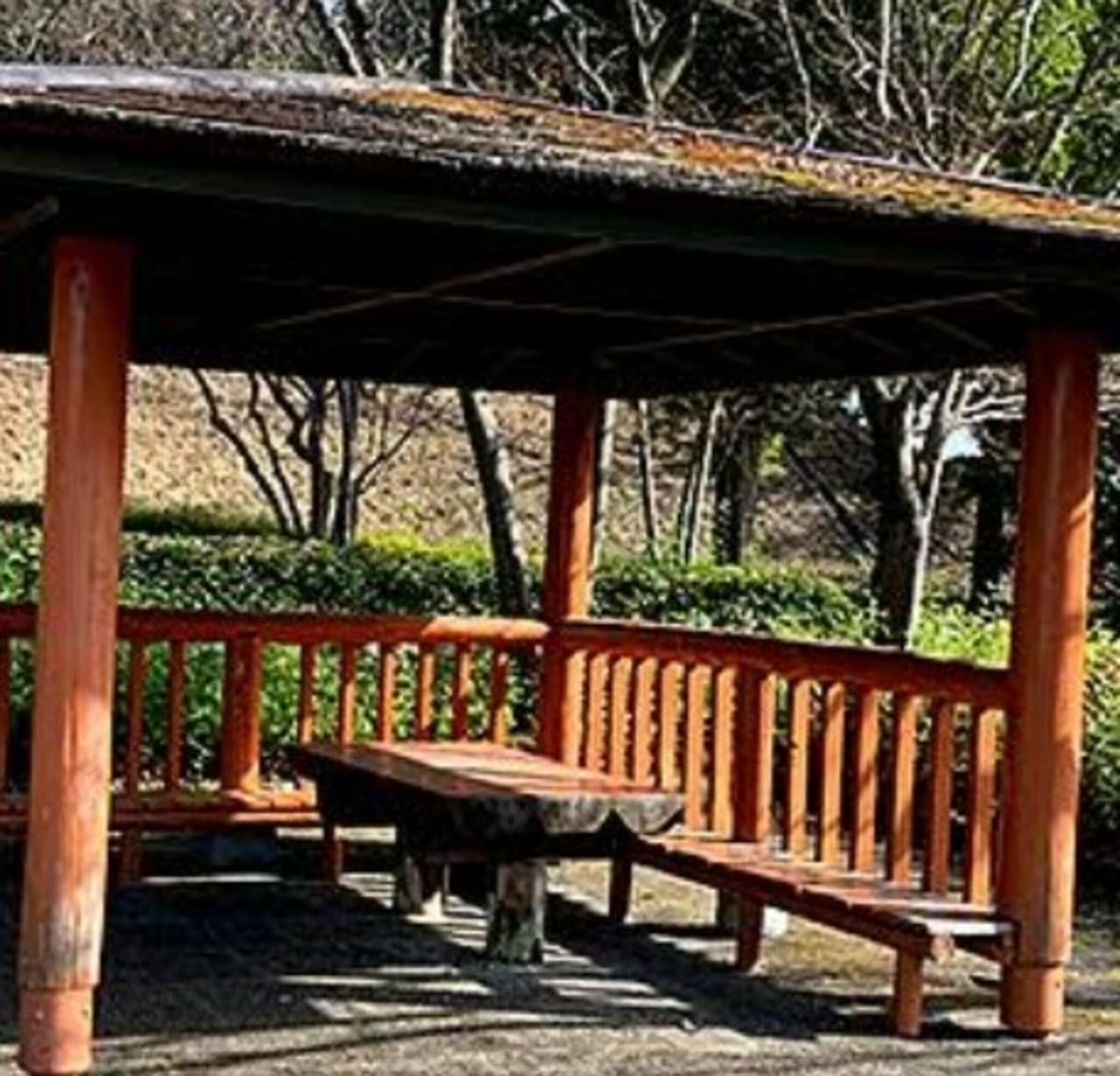 観栖寺台公園の代表写真1