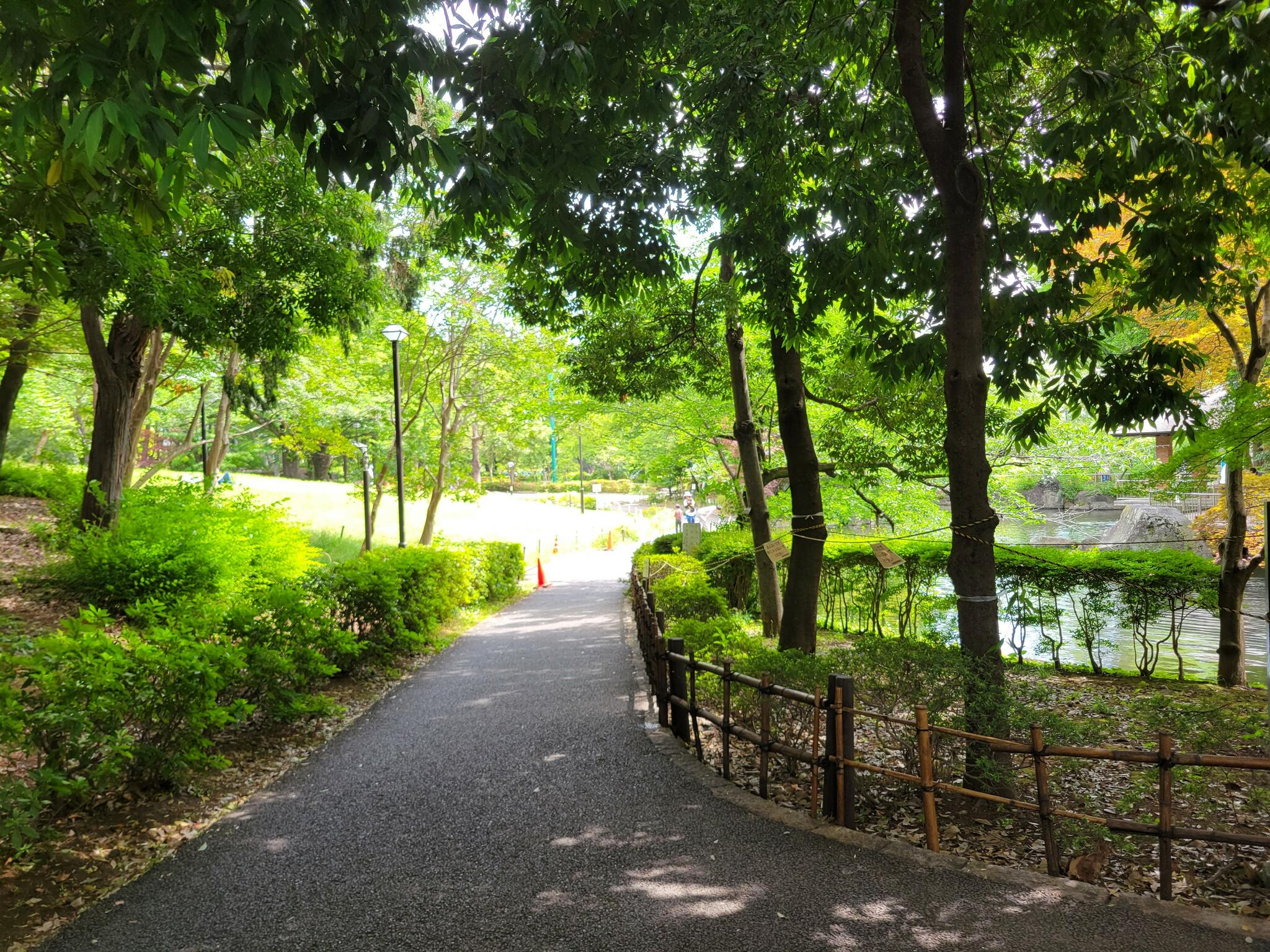 杉並区立蚕糸の森公園の代表写真8