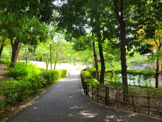 蚕糸の森公園のクチコミ写真1