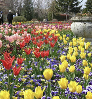 とちぎわんぱく公園のクチコミ写真1