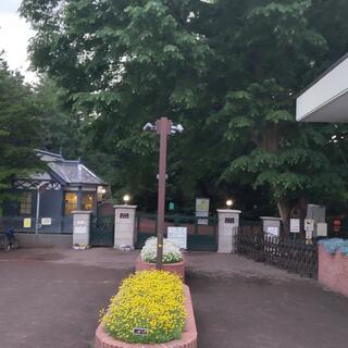 北海道大学植物園の写真16