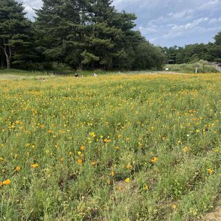 大阪府営 寝屋川公園の写真16