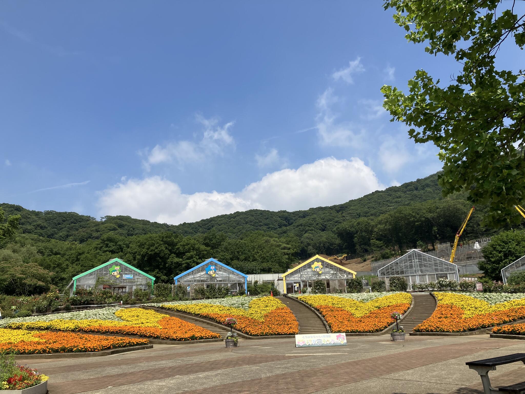 とちぎ花センターの代表写真7