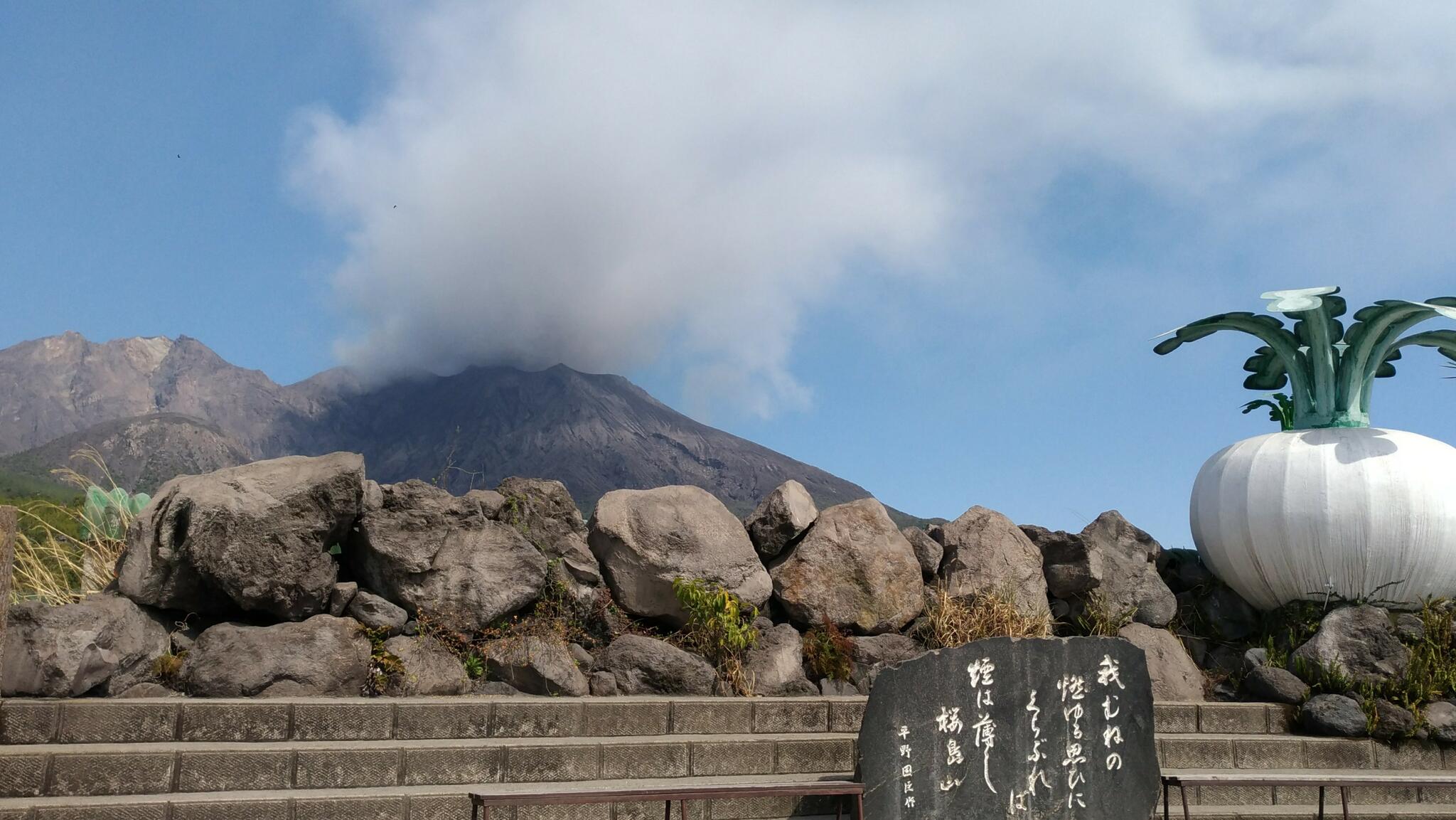 桜島物産館の代表写真3