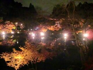 醍醐寺のクチコミ写真1