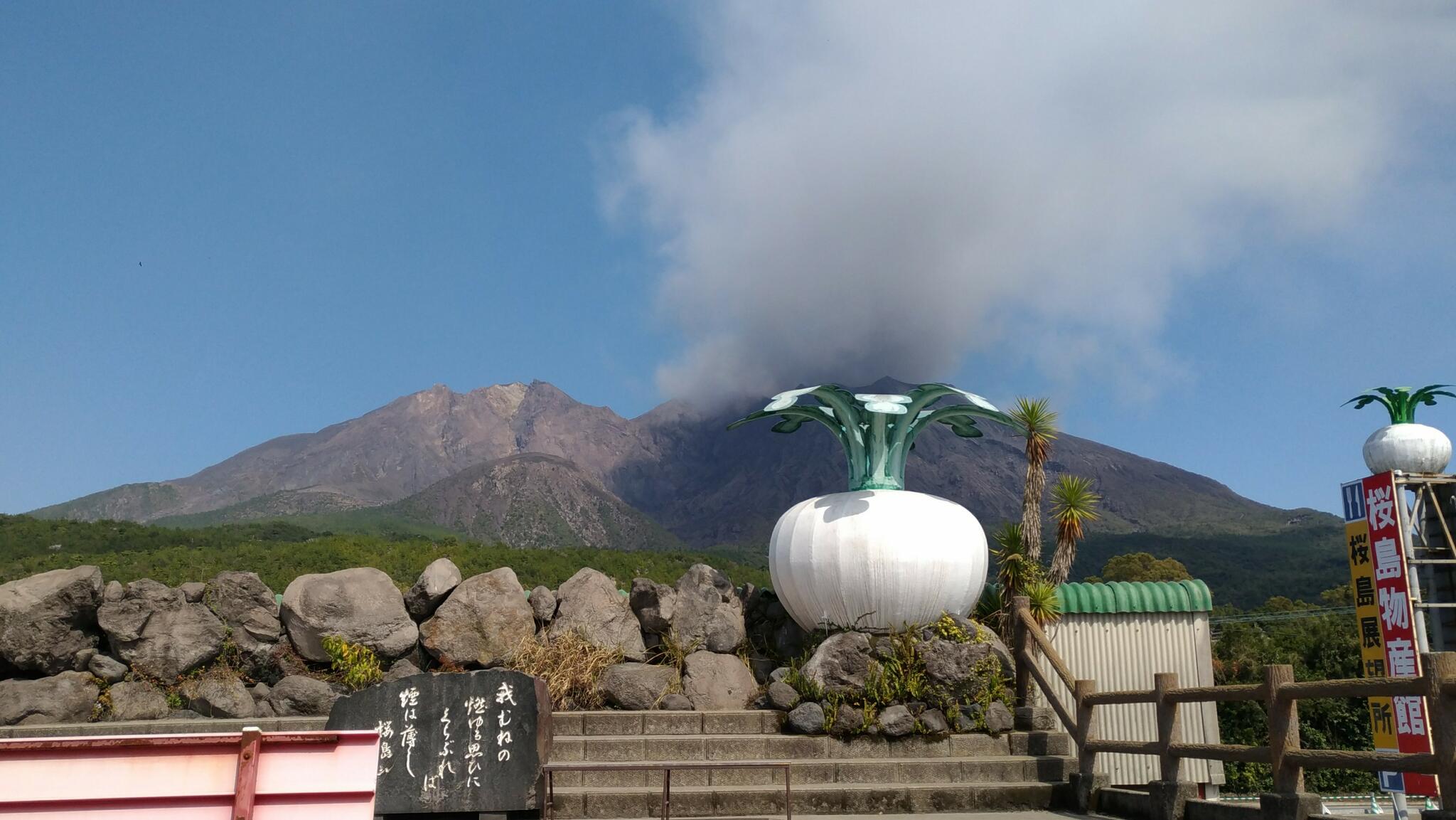 桜島物産館の代表写真5