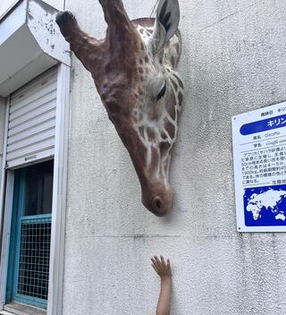 神戸市立王子動物園のクチコミ写真1