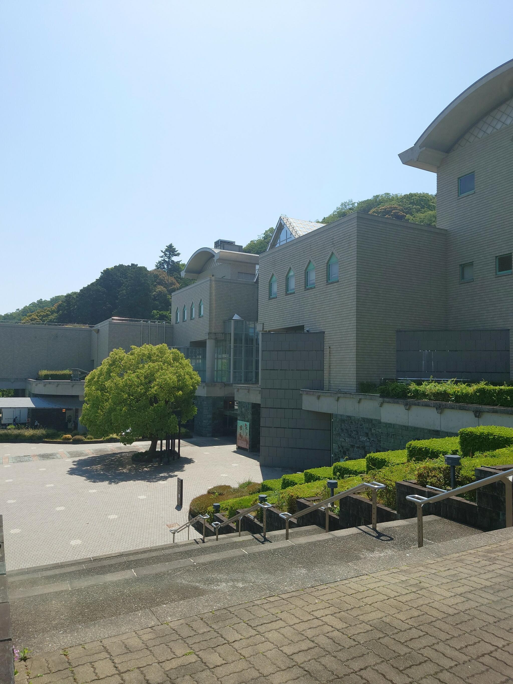 徳島県立文化の森ミュージアムショップの代表写真2