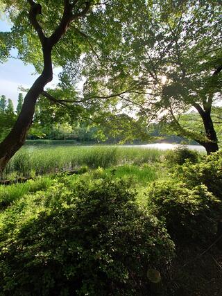 井の頭恩賜公園のクチコミ写真1