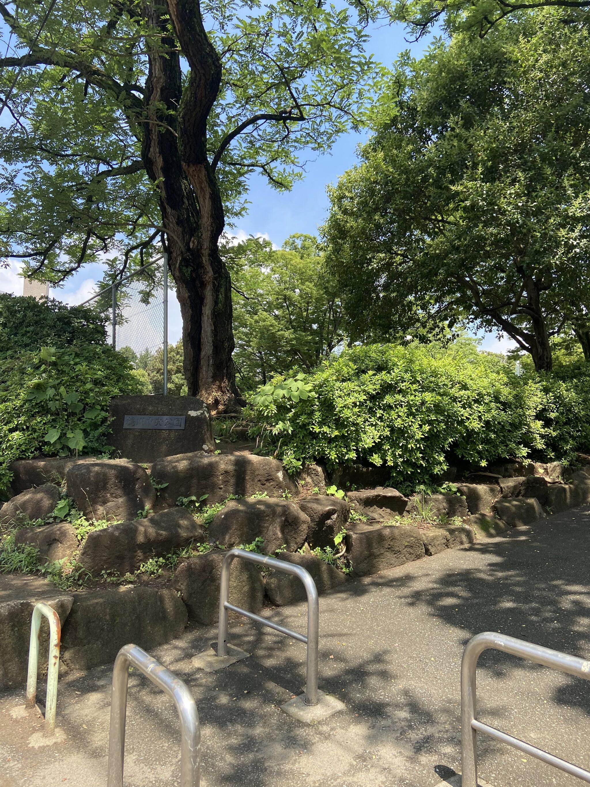 鶴川中央公園の代表写真2