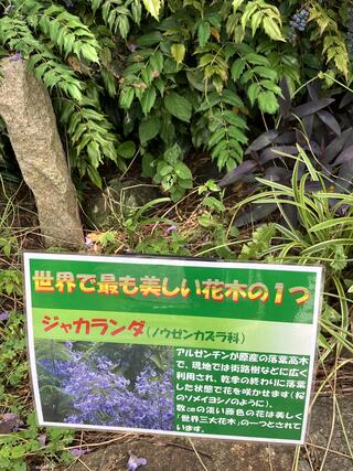 農業文化園・戸田川緑地のクチコミ写真9