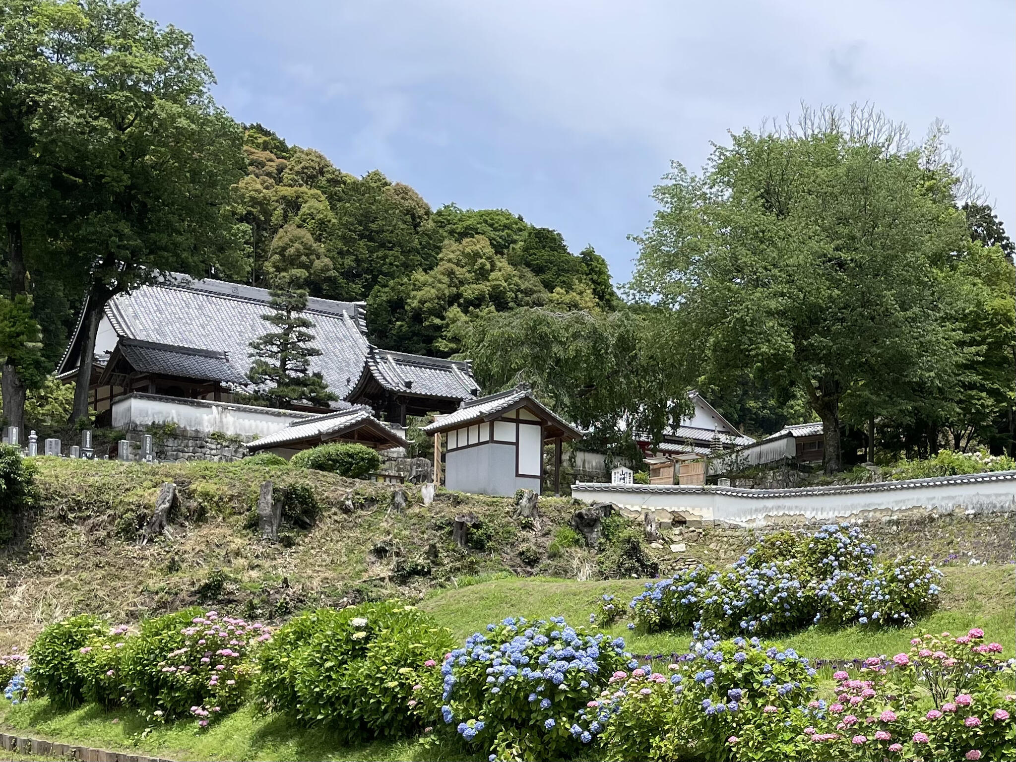本松山 高月院 寂静寺の代表写真2