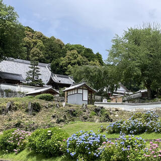 本松山 高月院 寂静寺の写真2