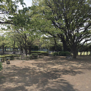 萩中公園の写真23