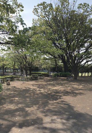 萩中公園のクチコミ写真1