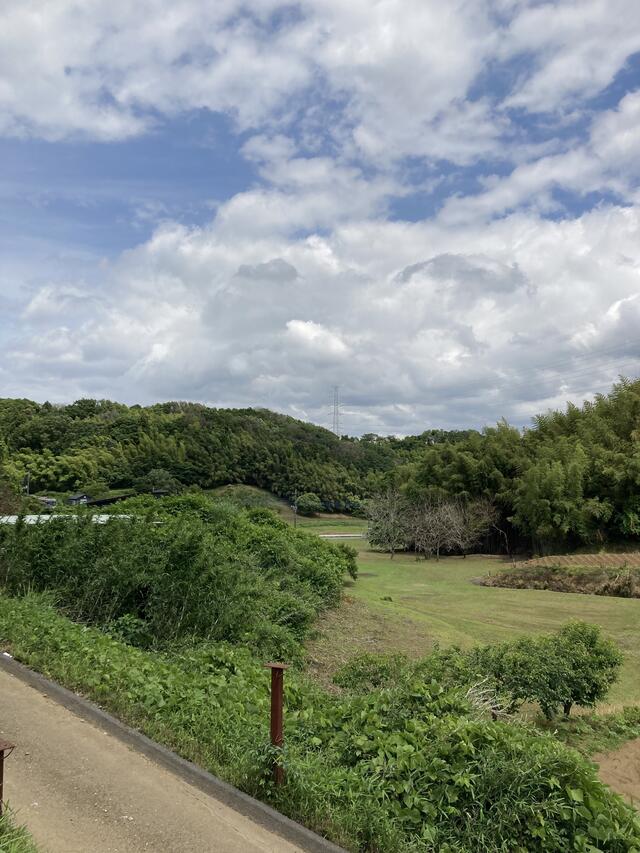 音信山 市原市山口駒込久保外部田岩藪入会/山 Yahoo!マップ