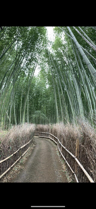 嵐山のクチコミ写真1